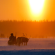 Image: AP